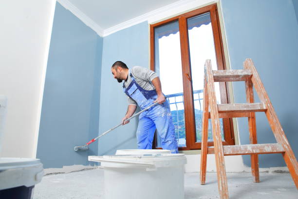 Best Mold Odor Removal Services  in Farragut, TN