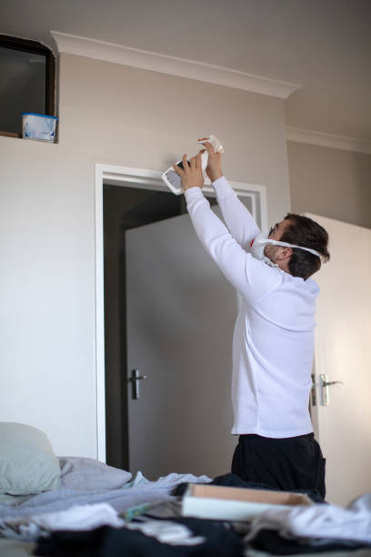 Best Mold Documentation for Insurance Claims  in Farragut, TN