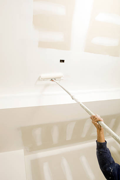 Reliable Farragut, TN Mold Removal Solutions