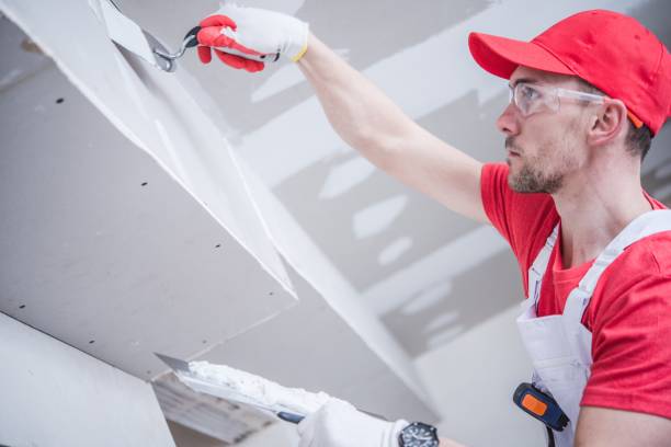Best Airborne Mold Testing  in Farragut, TN